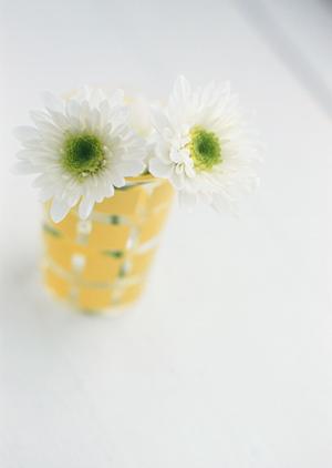 さいたま市にあるタカラスタンダードさいたまショールームの詳細と訪問のメリット